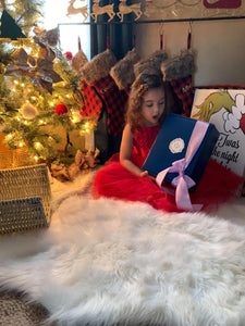 12 Days of Christmas (Petite Christmas Calendar Set)