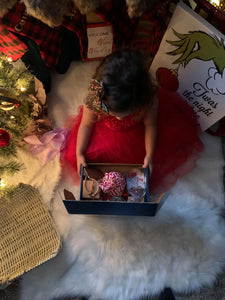 12 Days of Christmas (Petite Christmas Calendar Set)