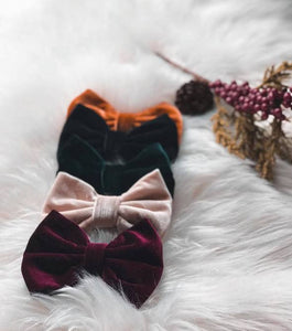 12 Days of Christmas (Petite Christmas Calendar Set)